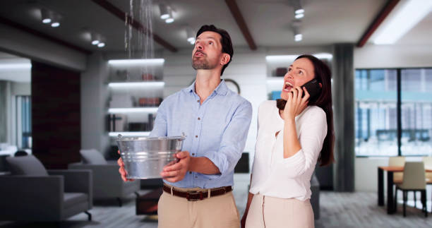 Best Sewage cleanup and water damage restoration  in Oakdale, NY